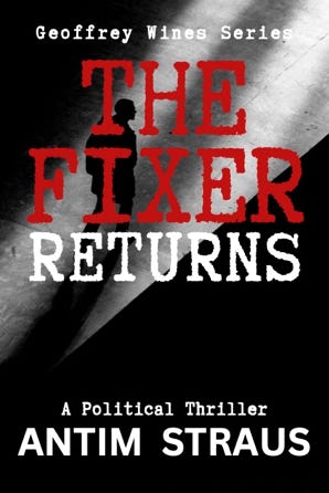 Book cover of "The Fixer Returns" by Antim Straus